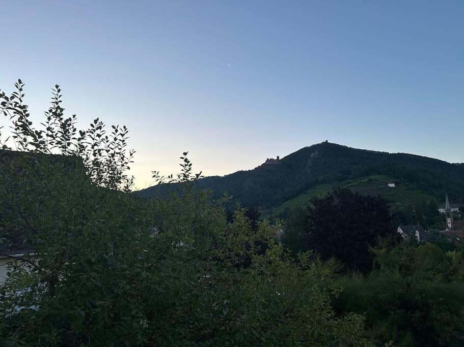 Vue Magnifique Sur Les Chateaux Ribeauville  Ngoại thất bức ảnh