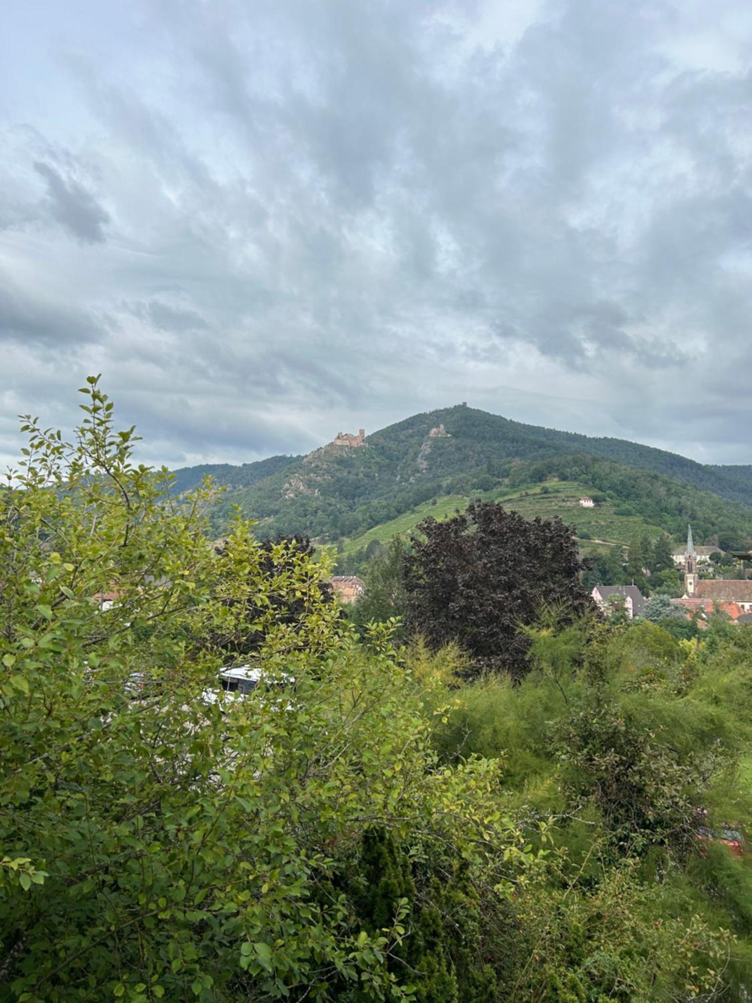 Vue Magnifique Sur Les Chateaux Ribeauville  Ngoại thất bức ảnh